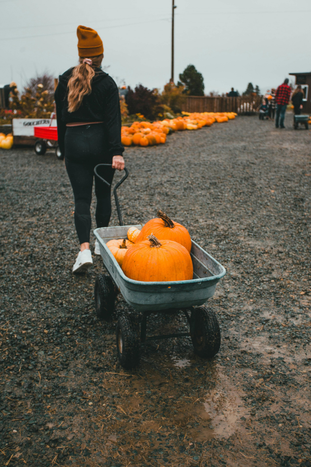 How to Make the Most of Halloween in Plymouth, MA at Rowen at The Pinehills image