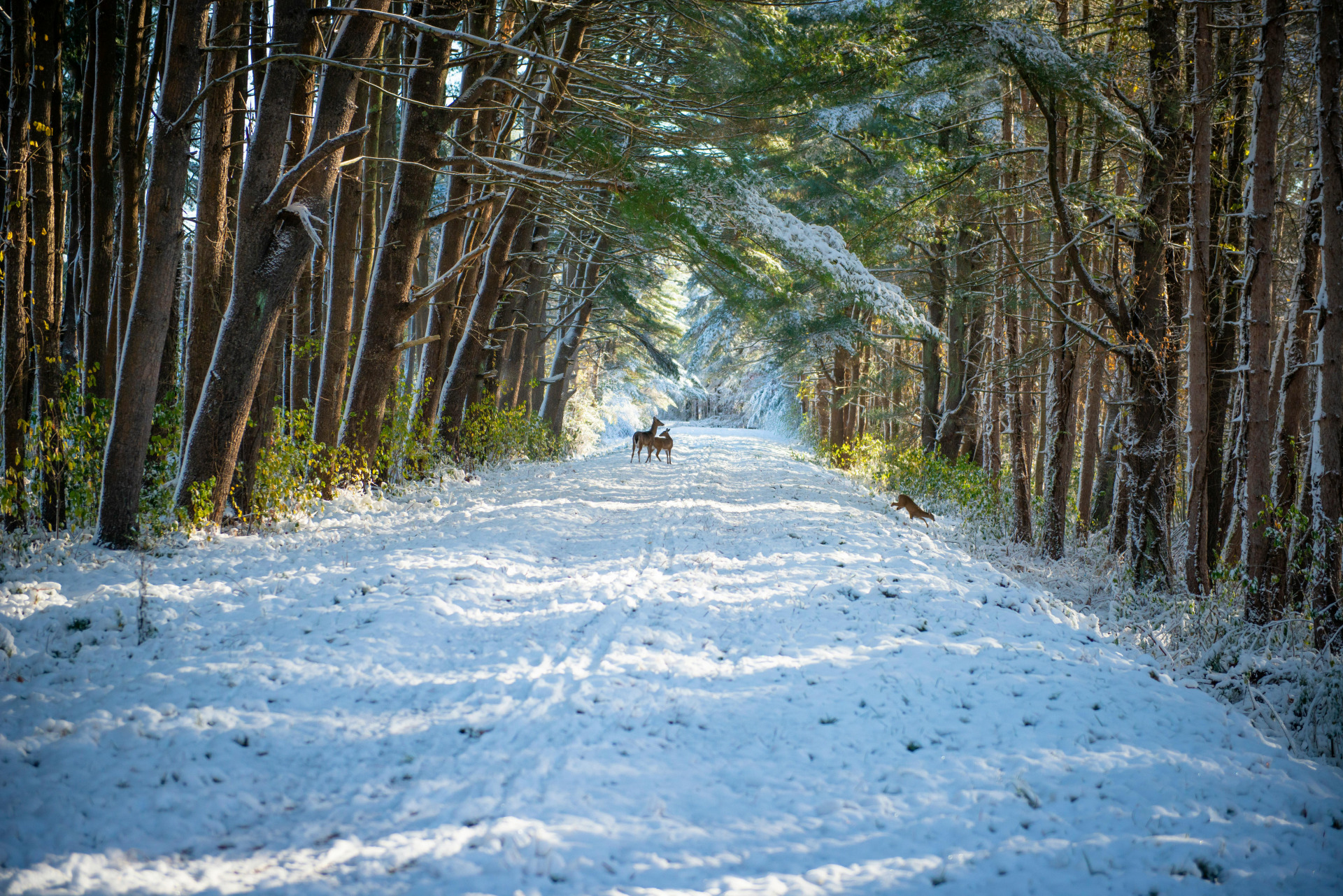 Cozy Up This January at Rowen at The Pinehills in Plymouth, MA image